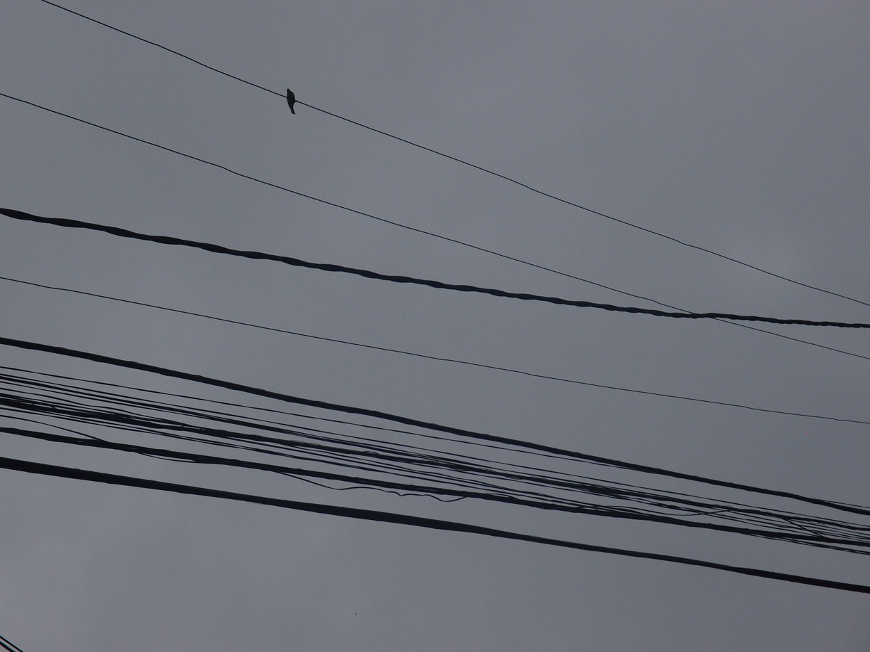 2016-01-15 01 Niteroi (Foto)