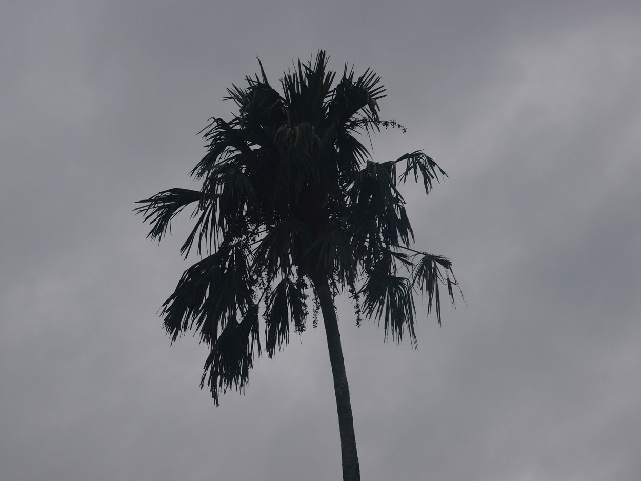 2016-01-15 01 Niteroi (Foto)