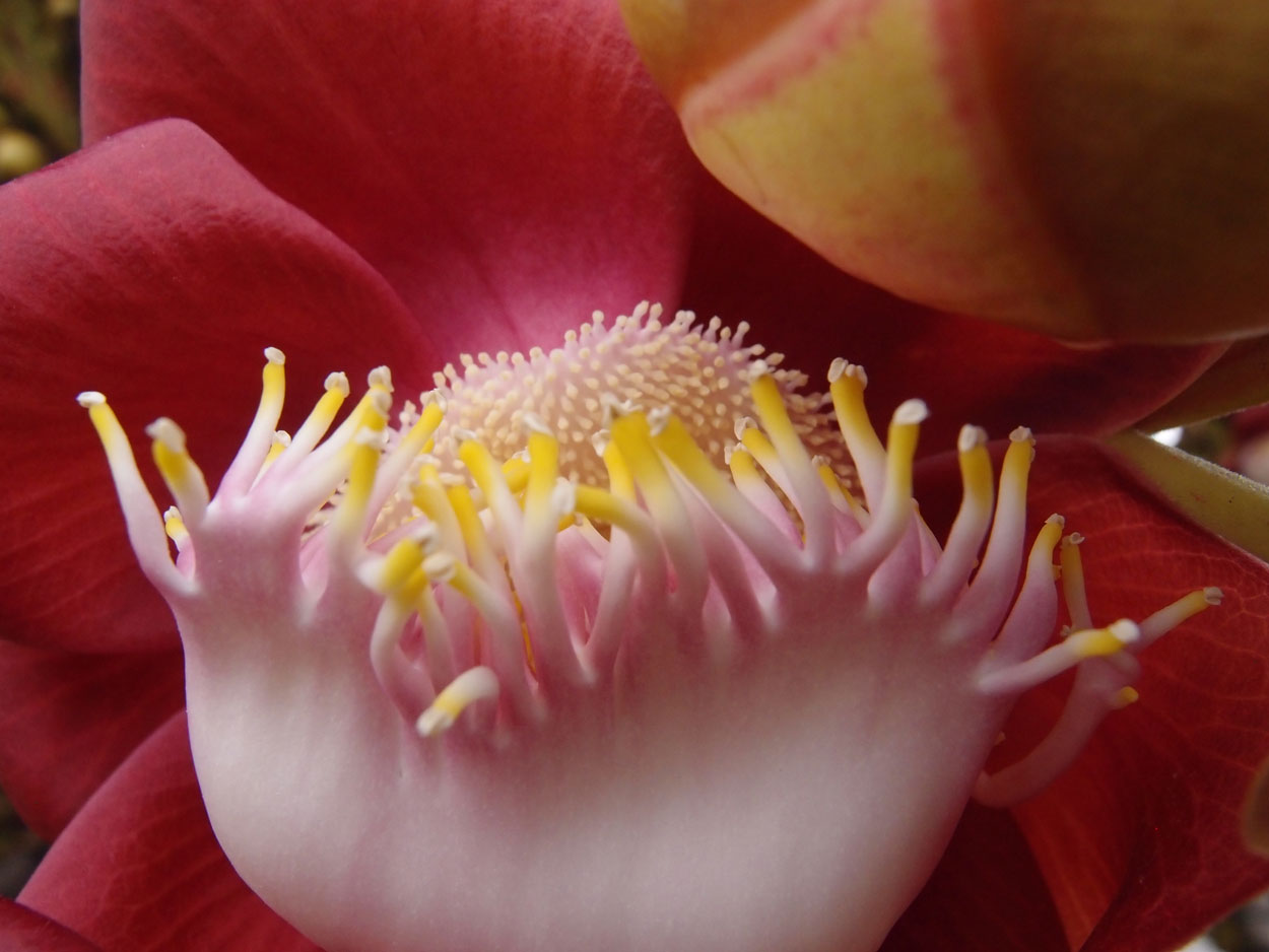 2016-01-17 01 Rio (Foto)