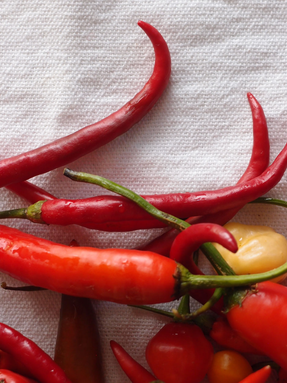 2016-01-26 Pimentas 1 + 2 (Foto)