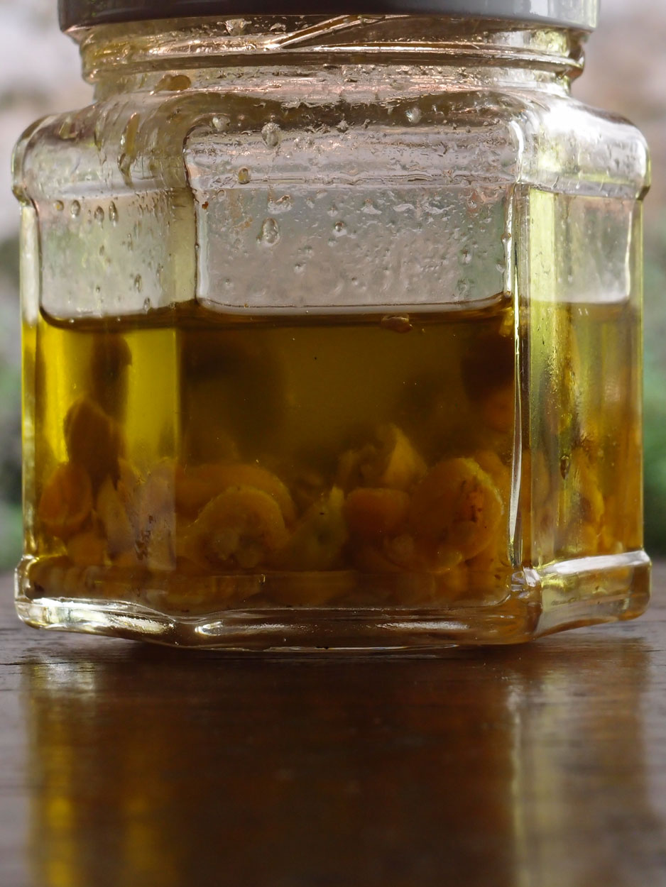 2016-01-26 Pimentas 1 + 2 (Foto)