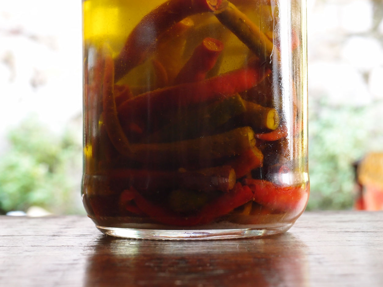 2016-01-26 Pimentas 1 + 2 (Foto)