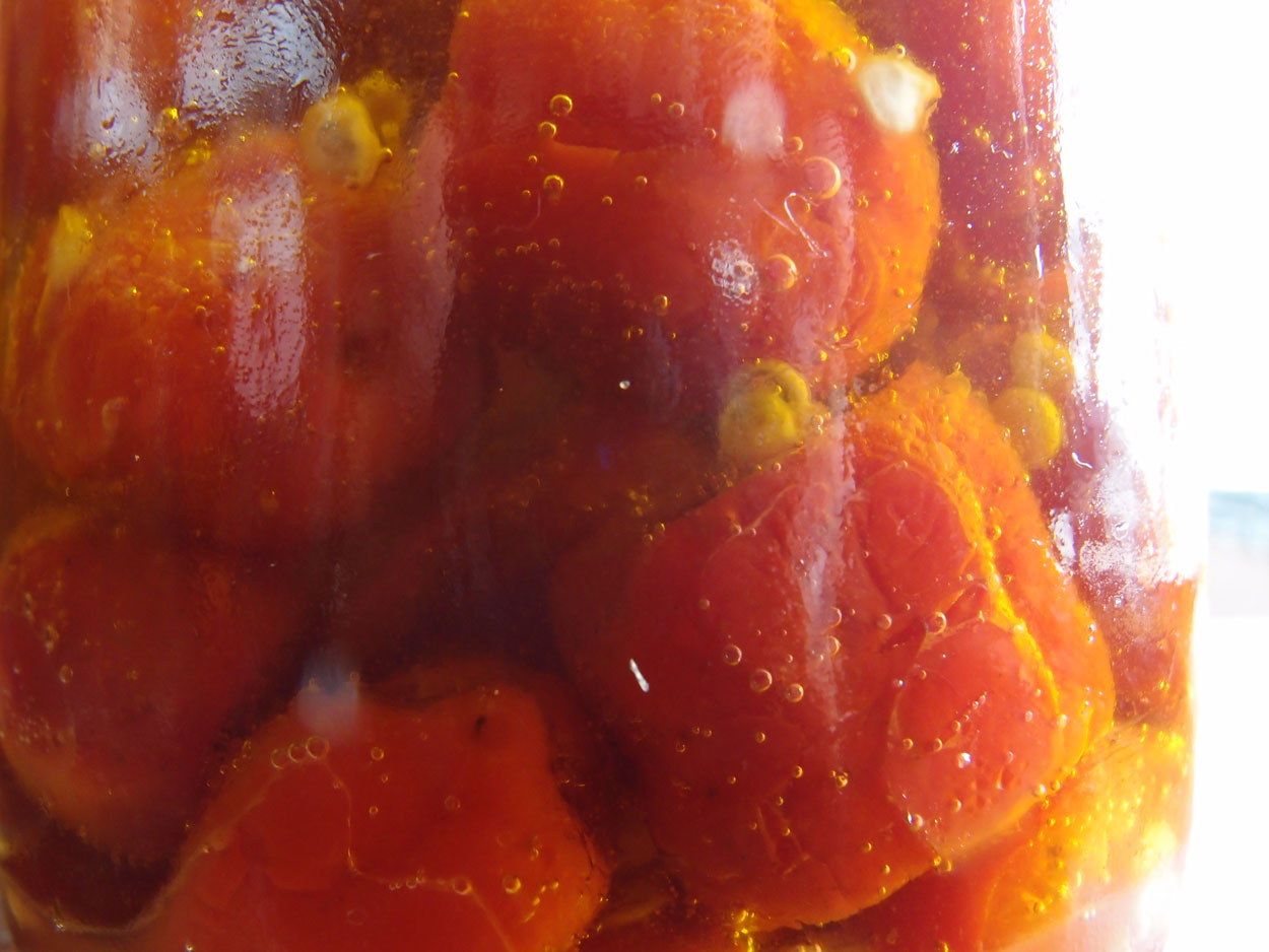 2016-01-26 Pimentas 1 + 2 (Foto)