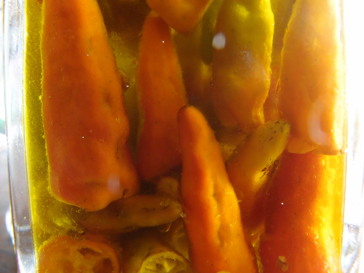 2016-01-26 Pimentas 1 + 2 (Foto)