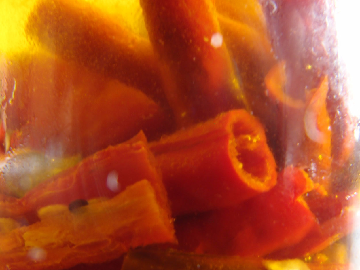 2016-01-26 Pimentas 1 + 2 (Foto)