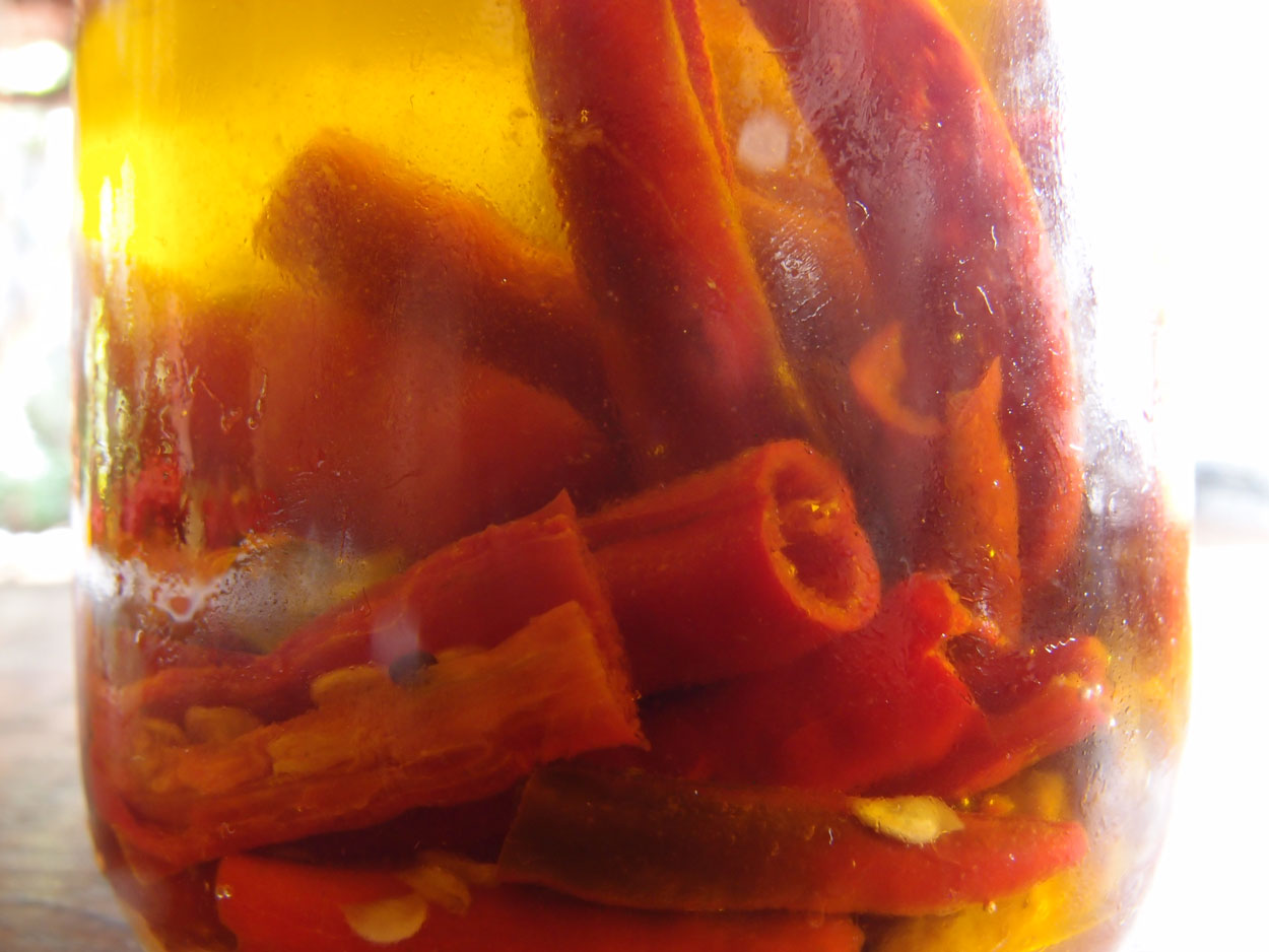 2016-01-26 Pimentas 1 + 2 (Foto)