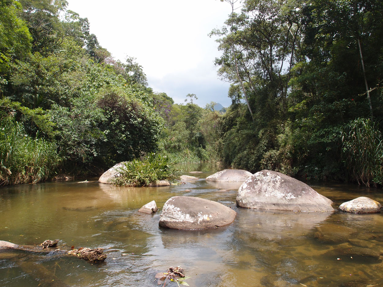 2016-02-07 Am Fluss, Galdinopollis (Foto, Video)