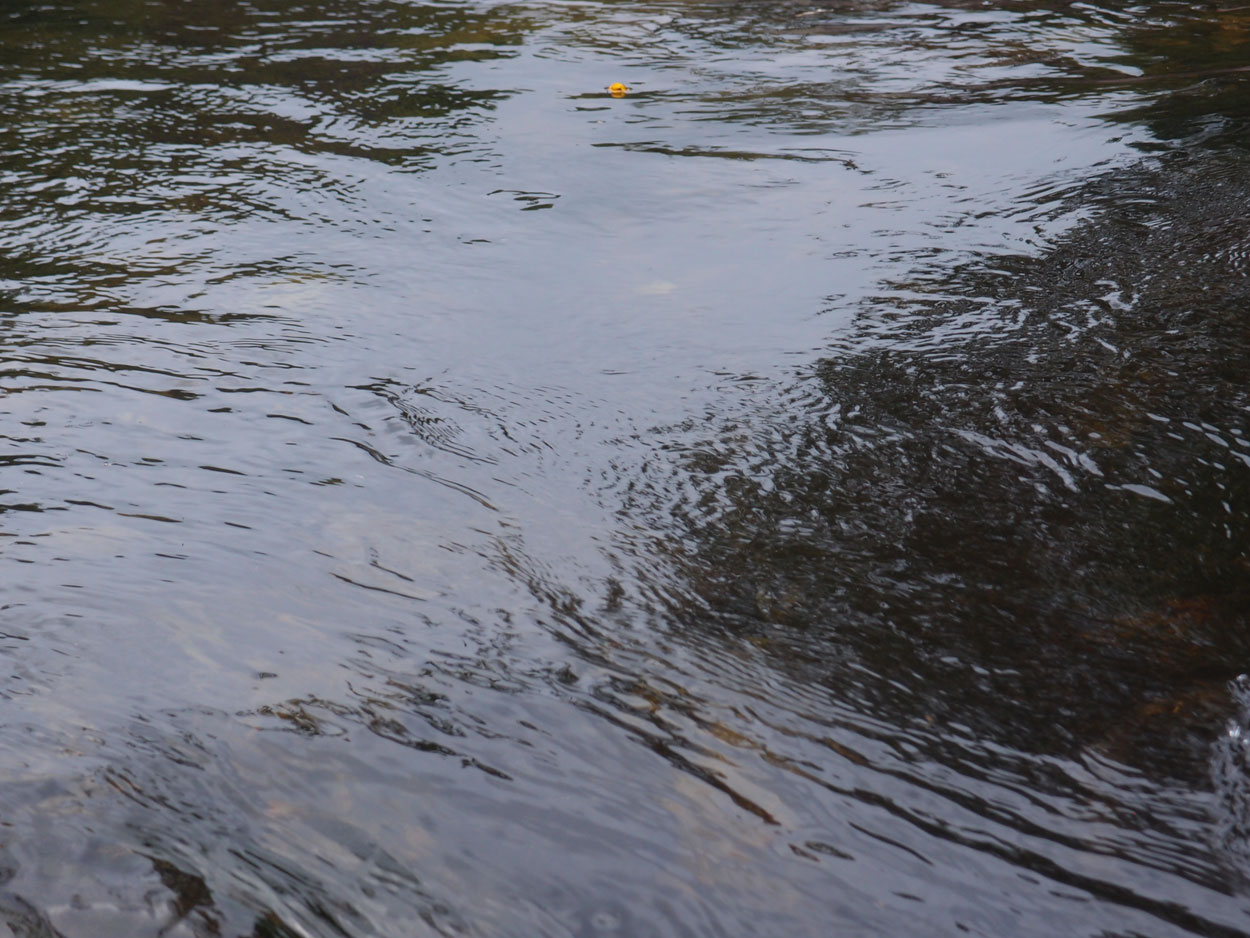 2016-02-07 Am Fluss, Galdinopollis (Foto, Video)