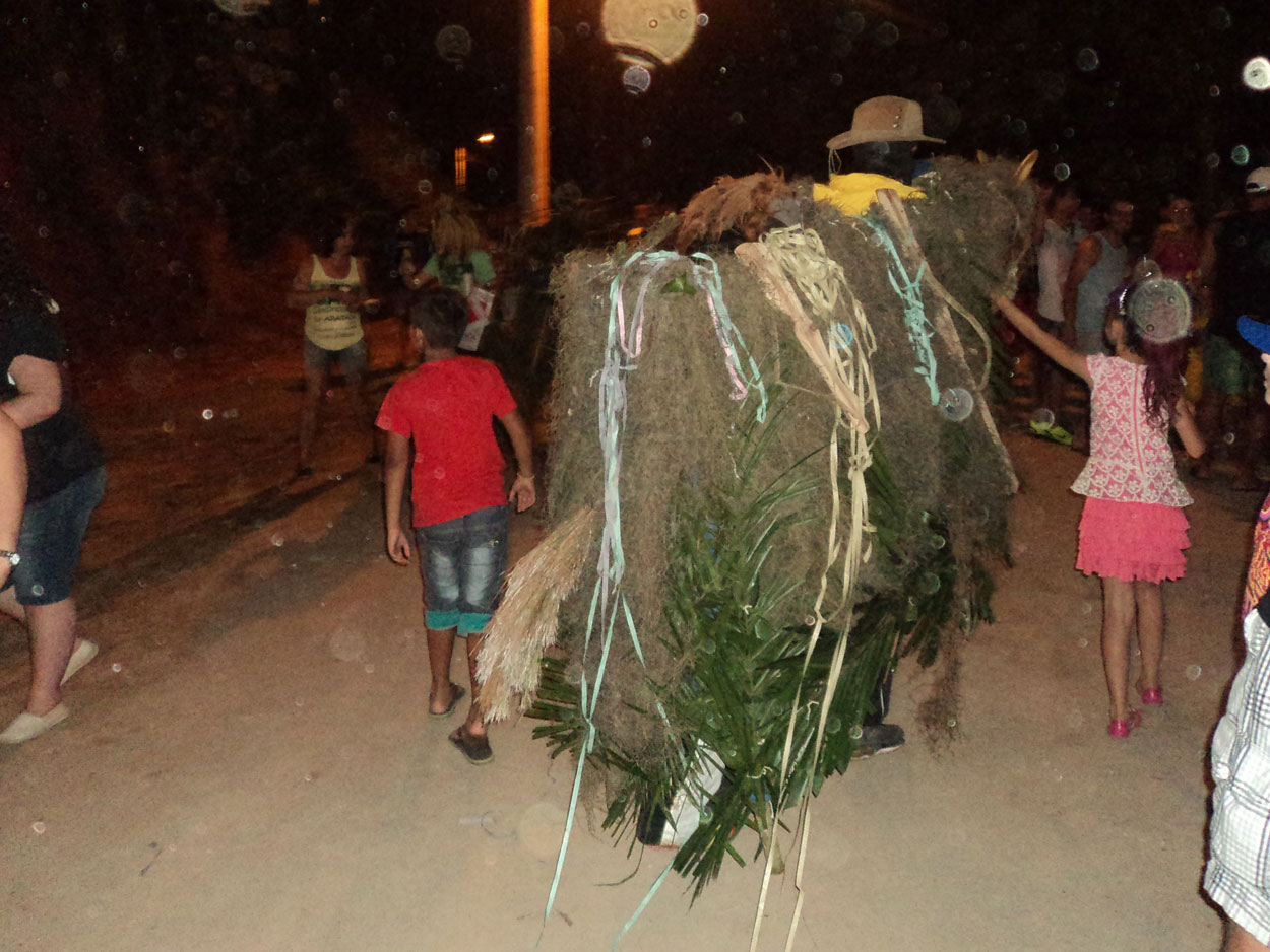 2016-02-08/09 Carneval de Galdi (Foto)