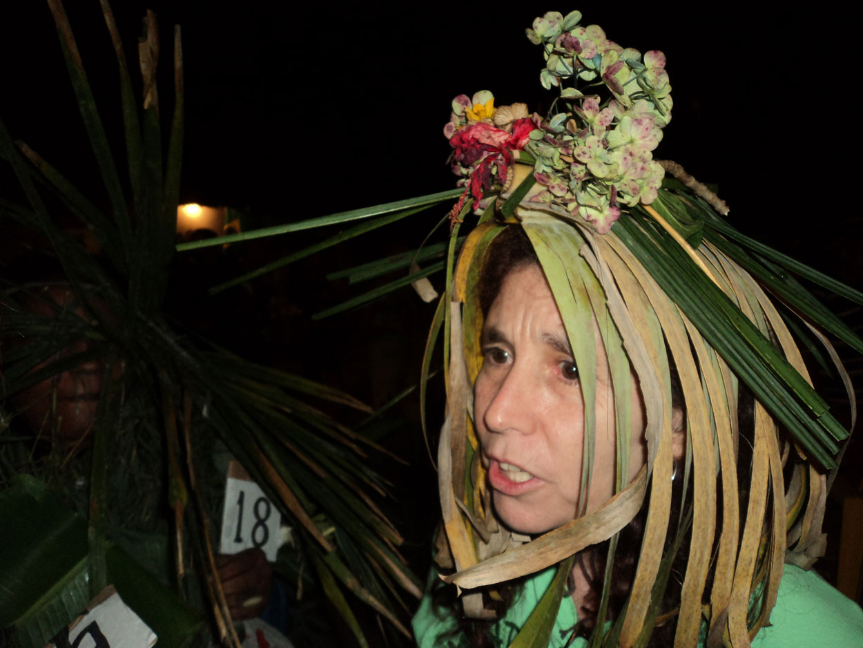 2016-02-08/09 Carneval de Galdi (Foto)