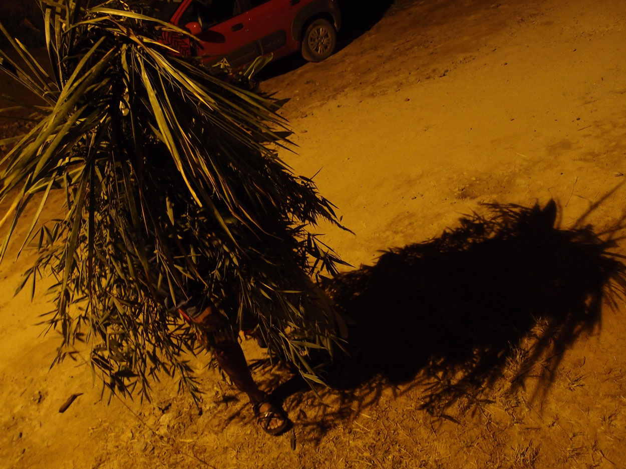 2016-02-08/09 Carneval de Galdi (Foto)