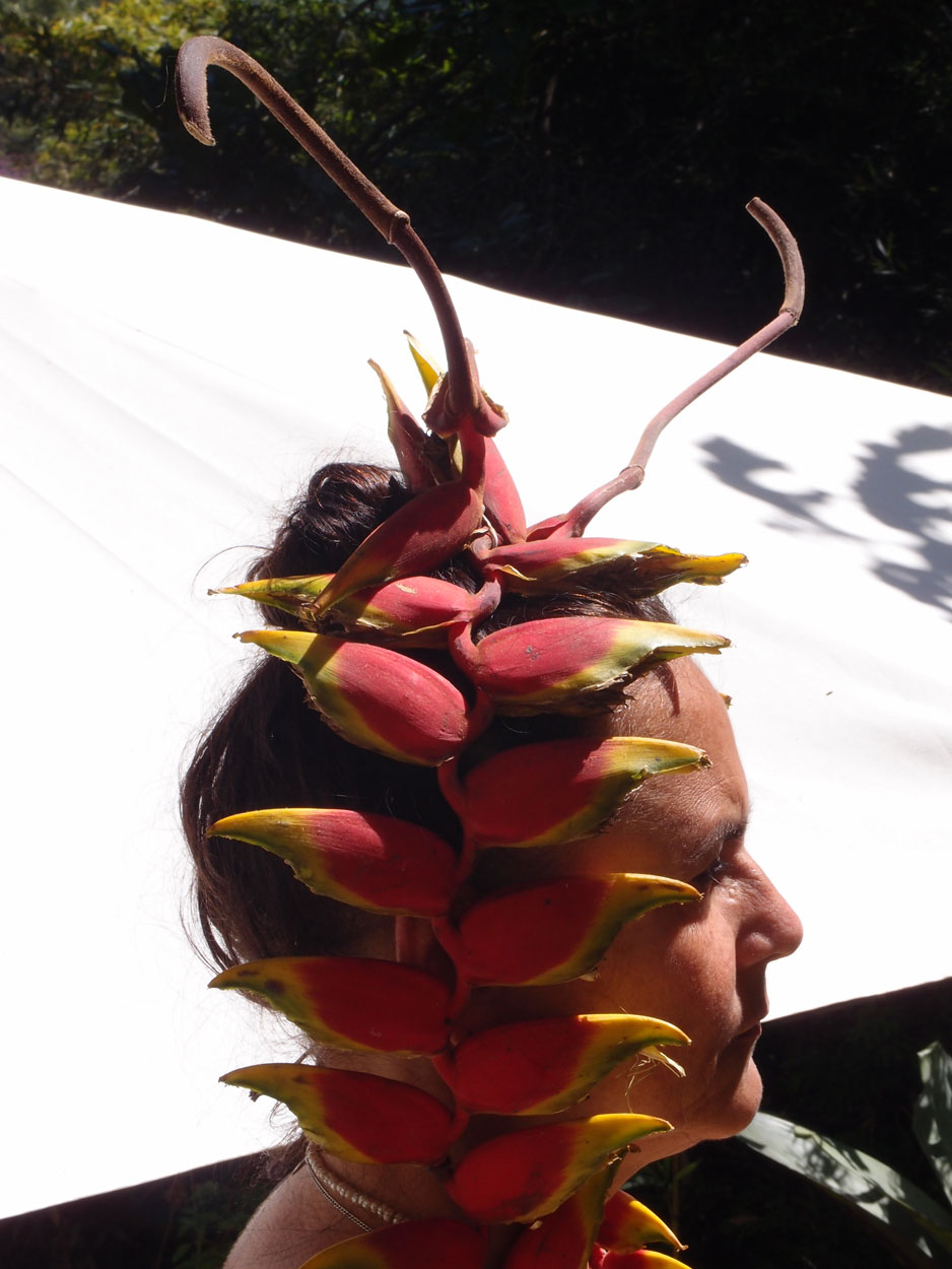 2016-02-08/09 Carneval de Galdi (Foto)