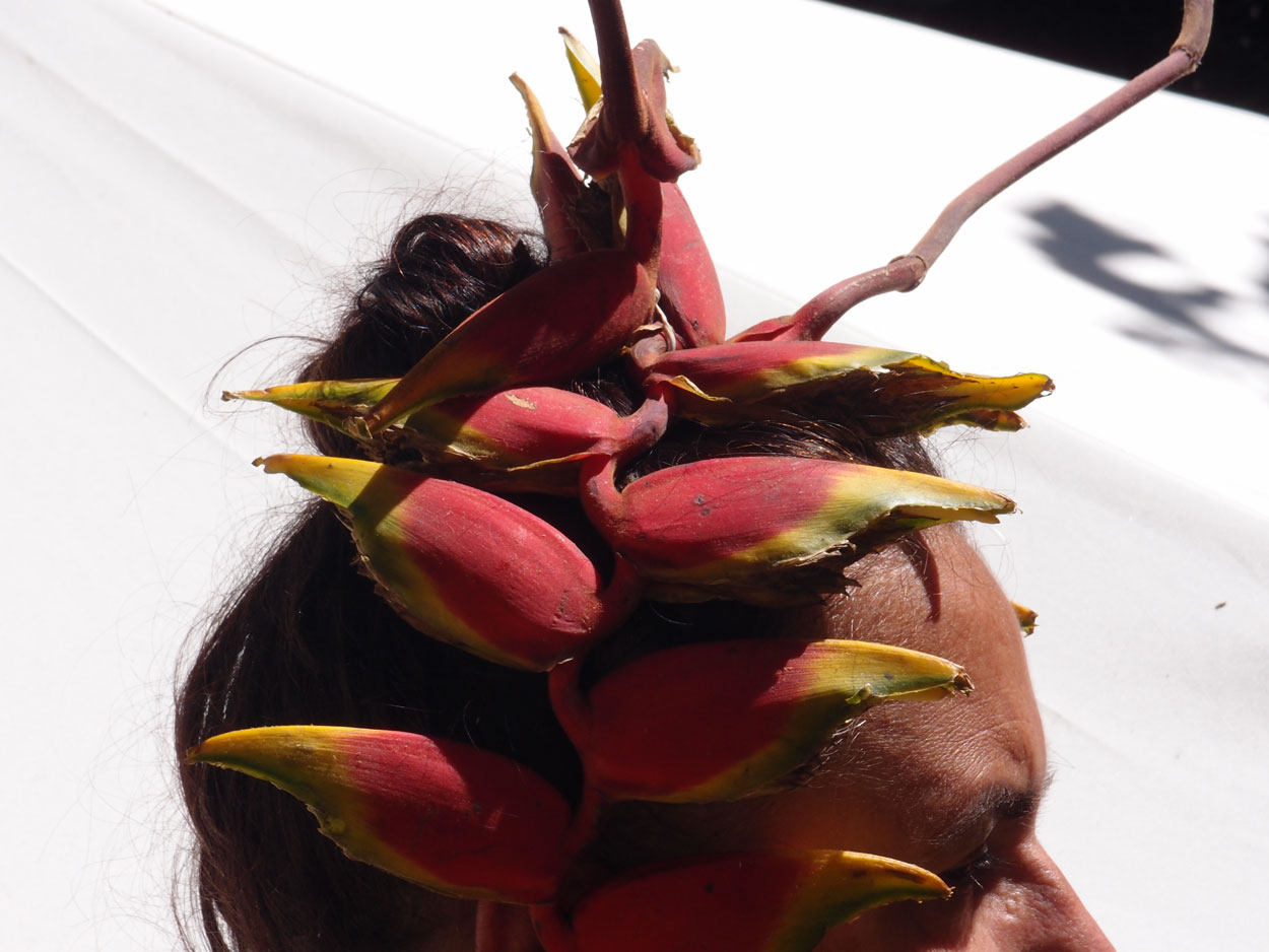 2016-02-08/09 Carneval de Galdi (Foto)