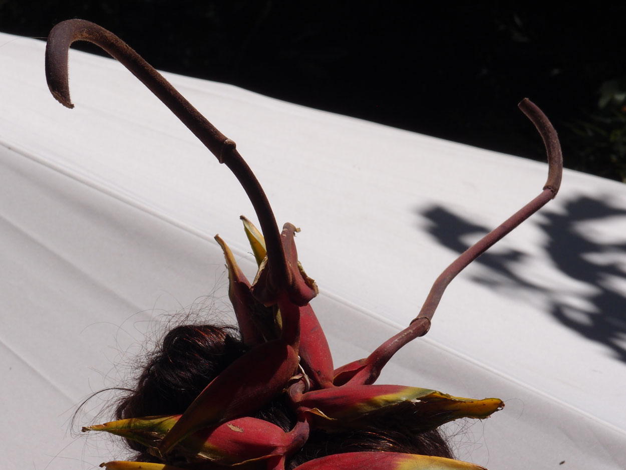 2016-02-08/09 Carneval de Galdi (Foto)