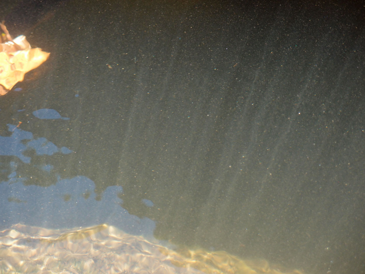 2016-02-10 am Fluss (Foto, Video)