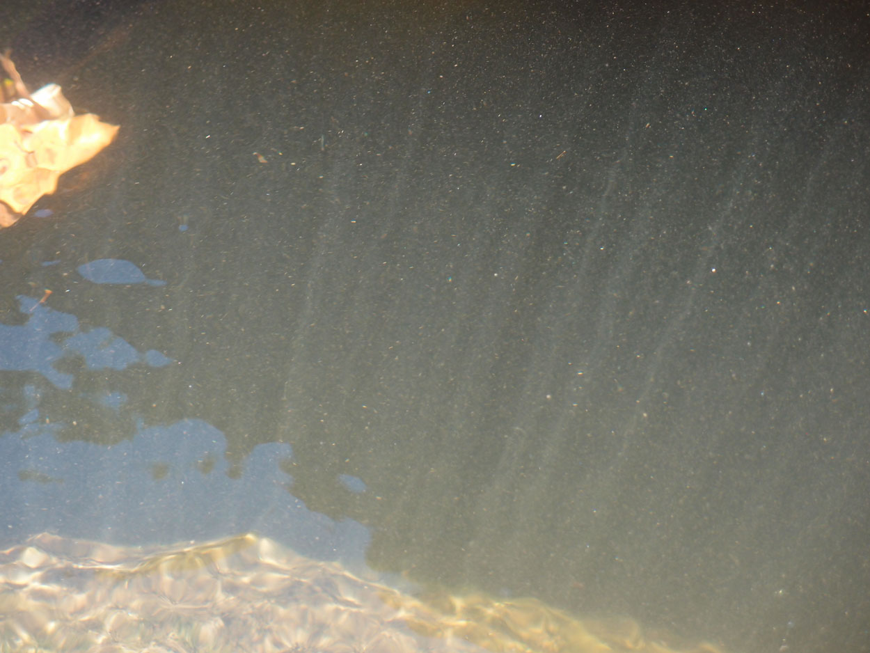 2016-02-10 am Fluss (Foto, Video)