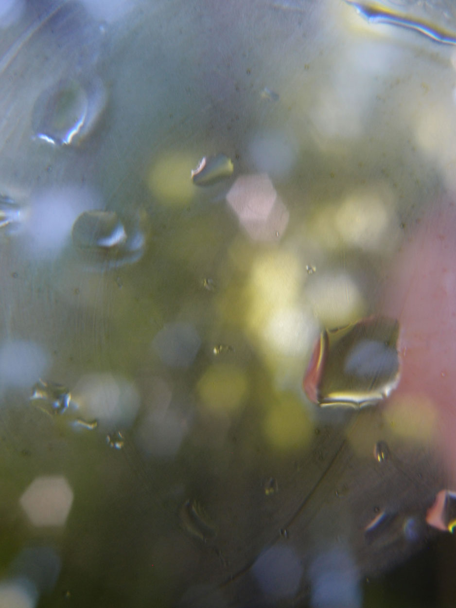 2016-02-10 am Fluss (Foto, Video)