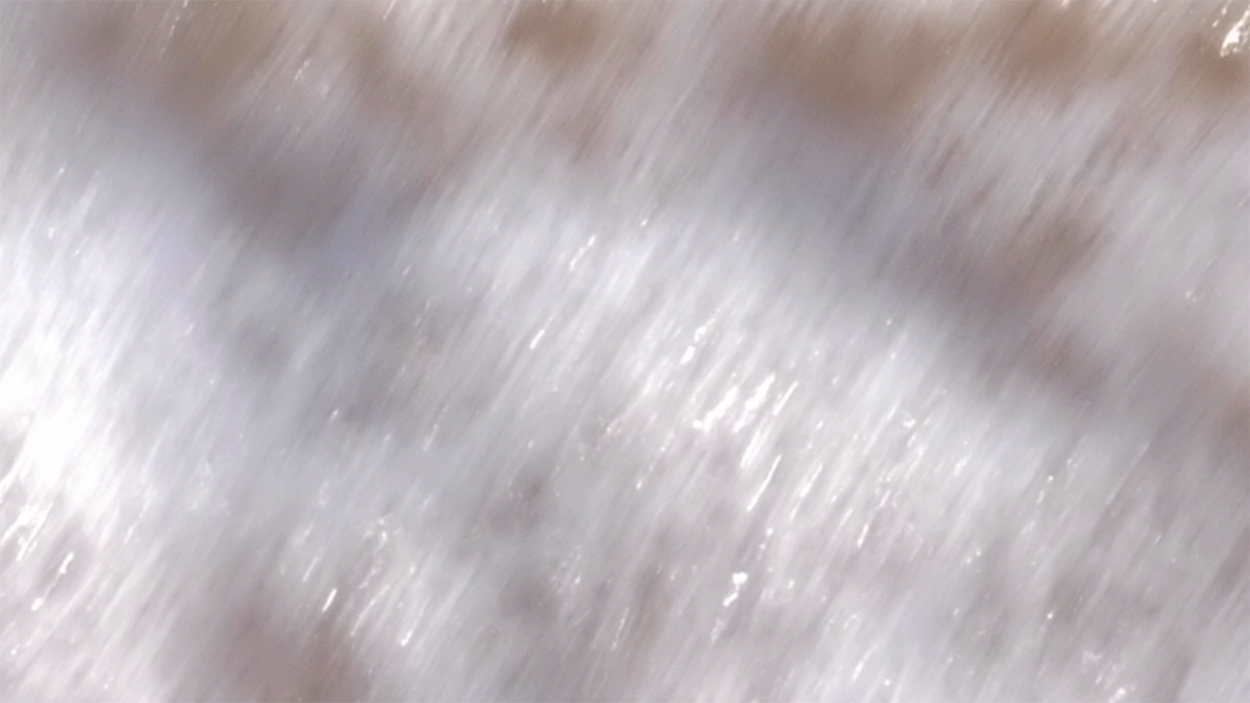 2016-02-13 01 am Strand (Itacoatiara) (Video)