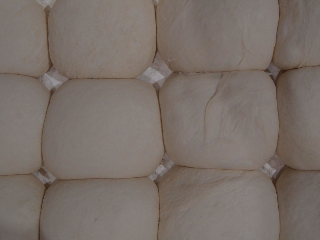 2016-02-13 Pizza com Pepe (Foto)