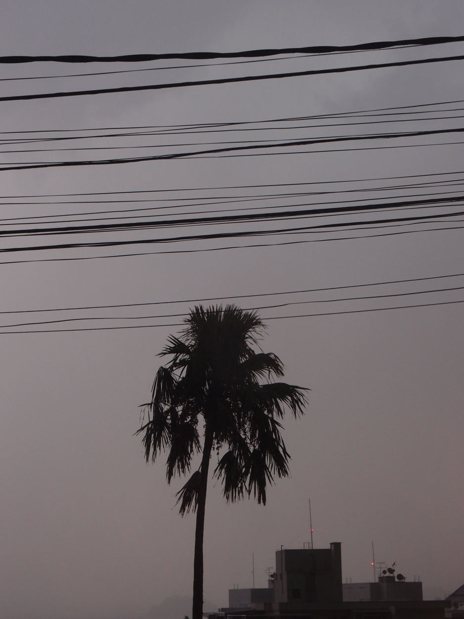 2016-02-16 Abendhimmel (Fotos)