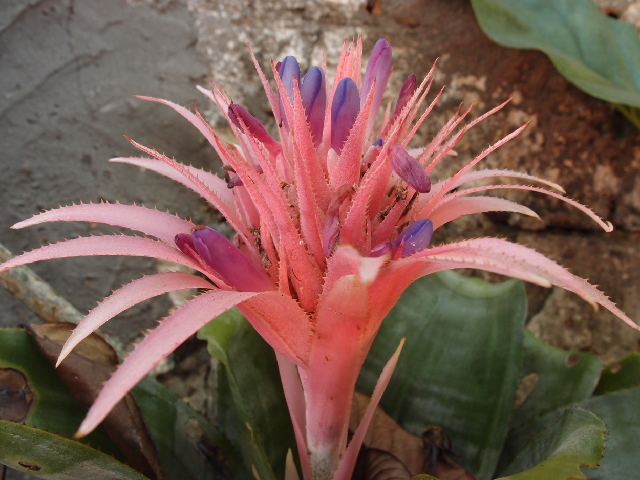 2016-02-18 Paulas Garten (Fotos)