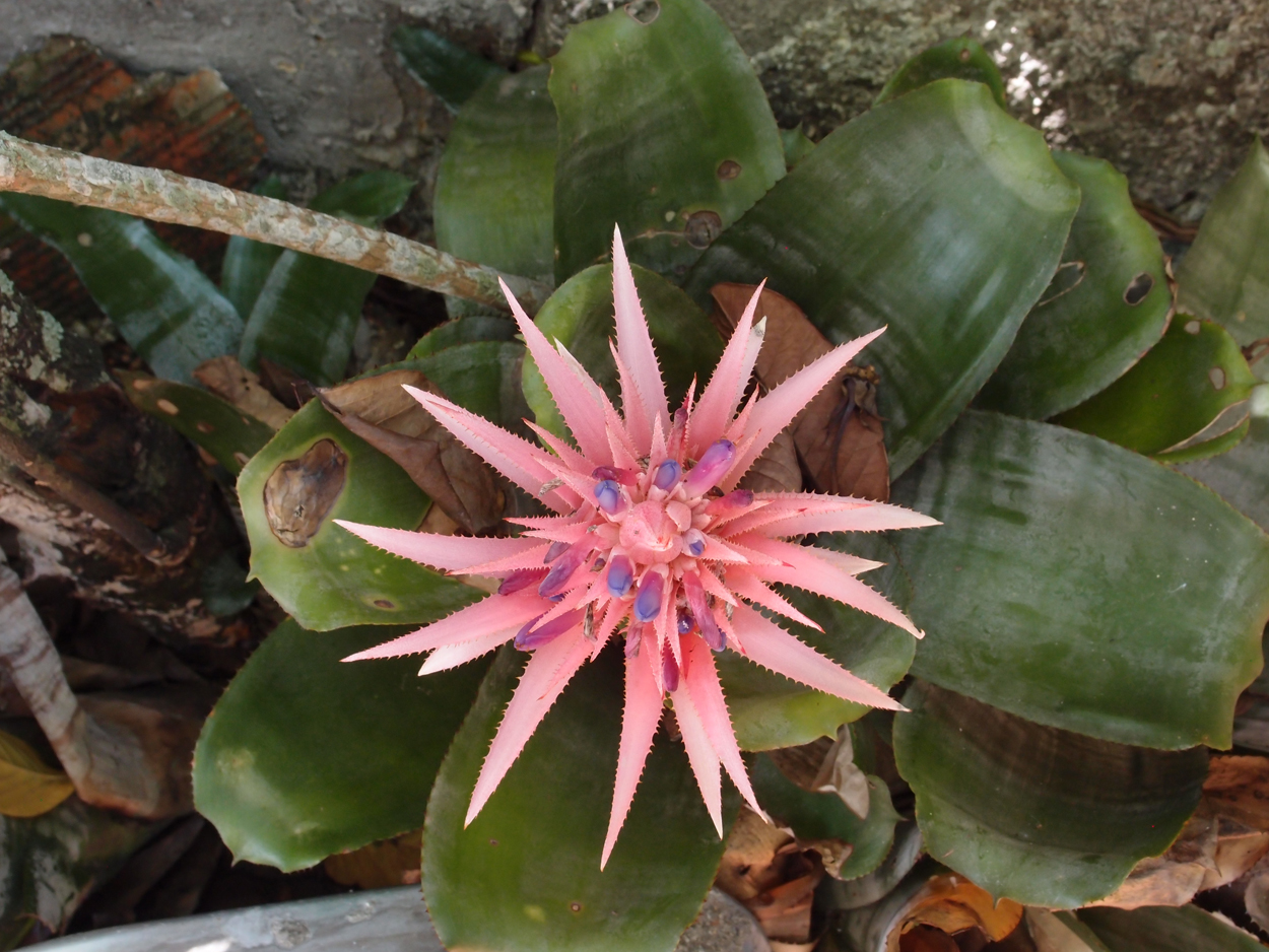 2016-02-18 Paulas Garten (Fotos)