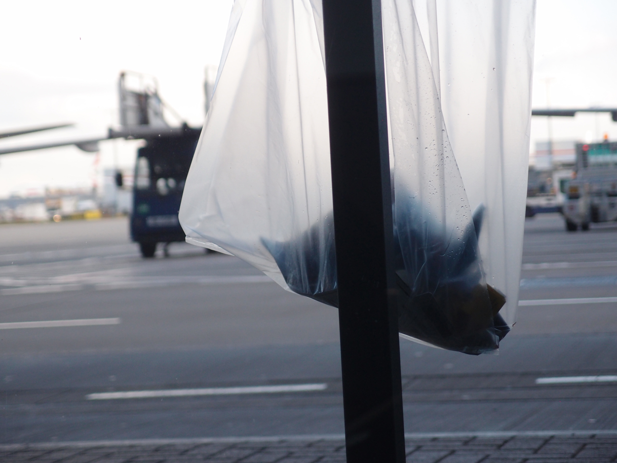 2016-02-23 London Heathrow (Audio & Video)