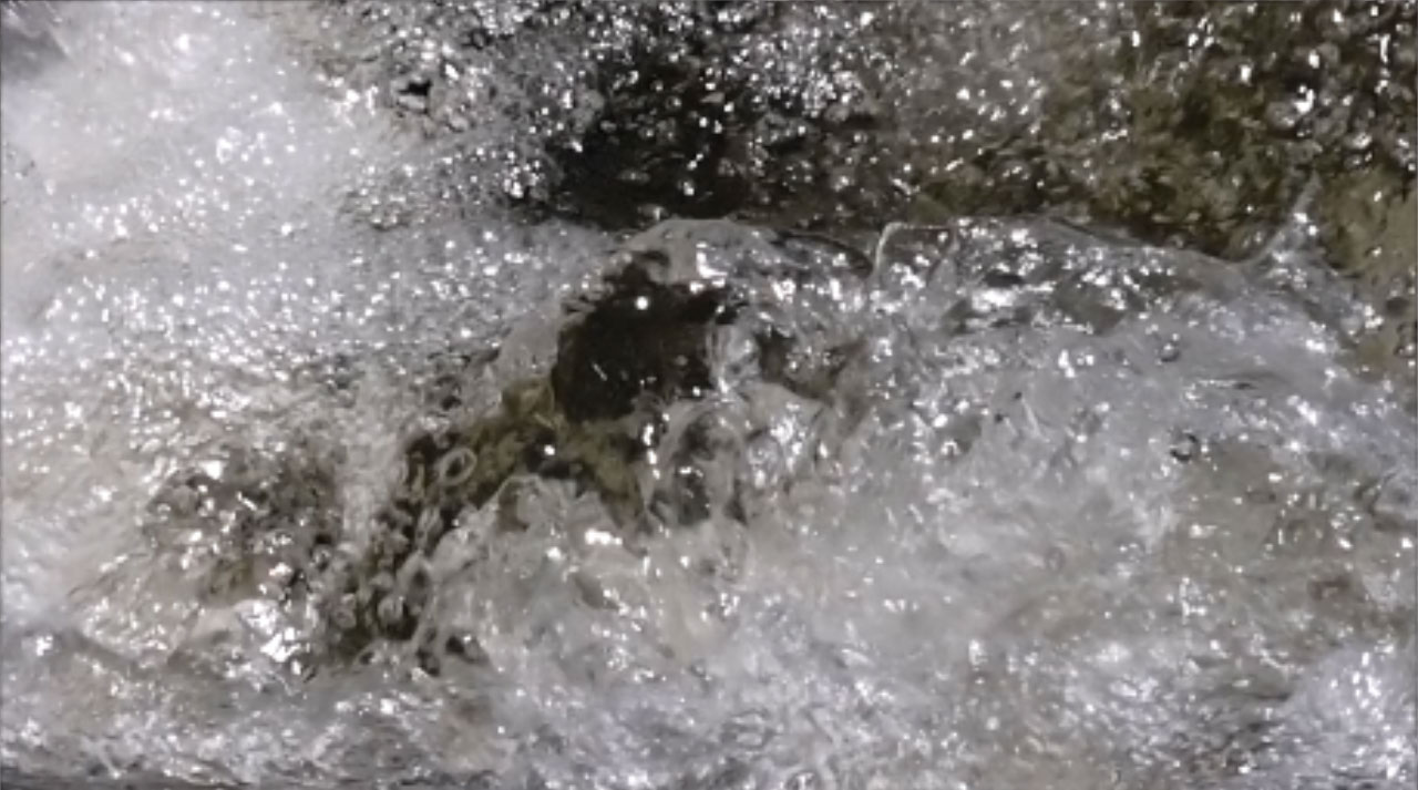 Wasservideo