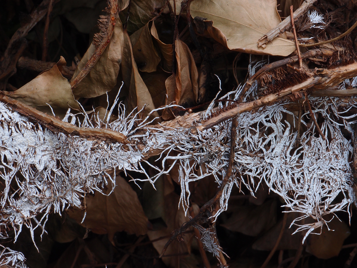 2019-07-21 foto-grafisches Statement I