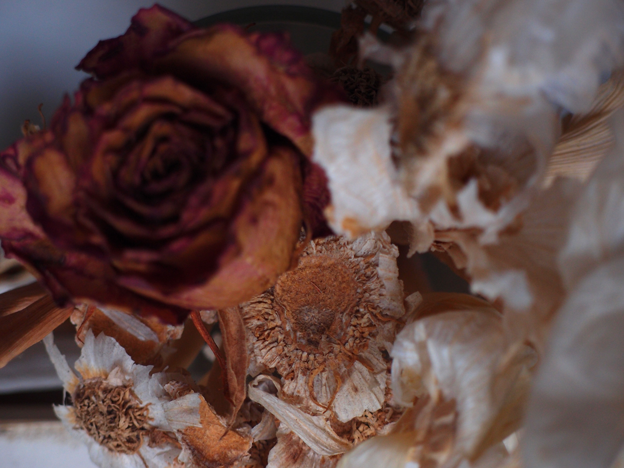 2019-08-20 Knoblauch mit Rose