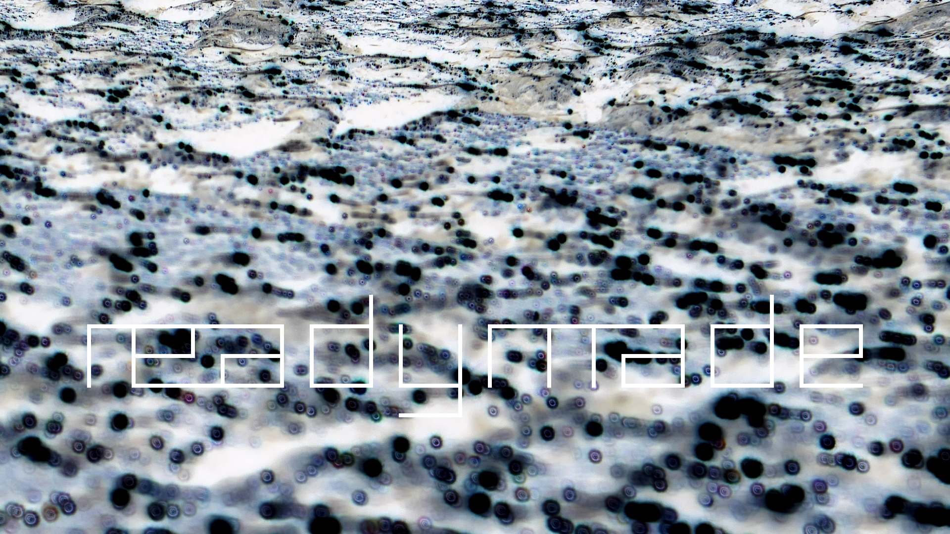 2022-01-21 Reflexe auf der Strasse (Foto)