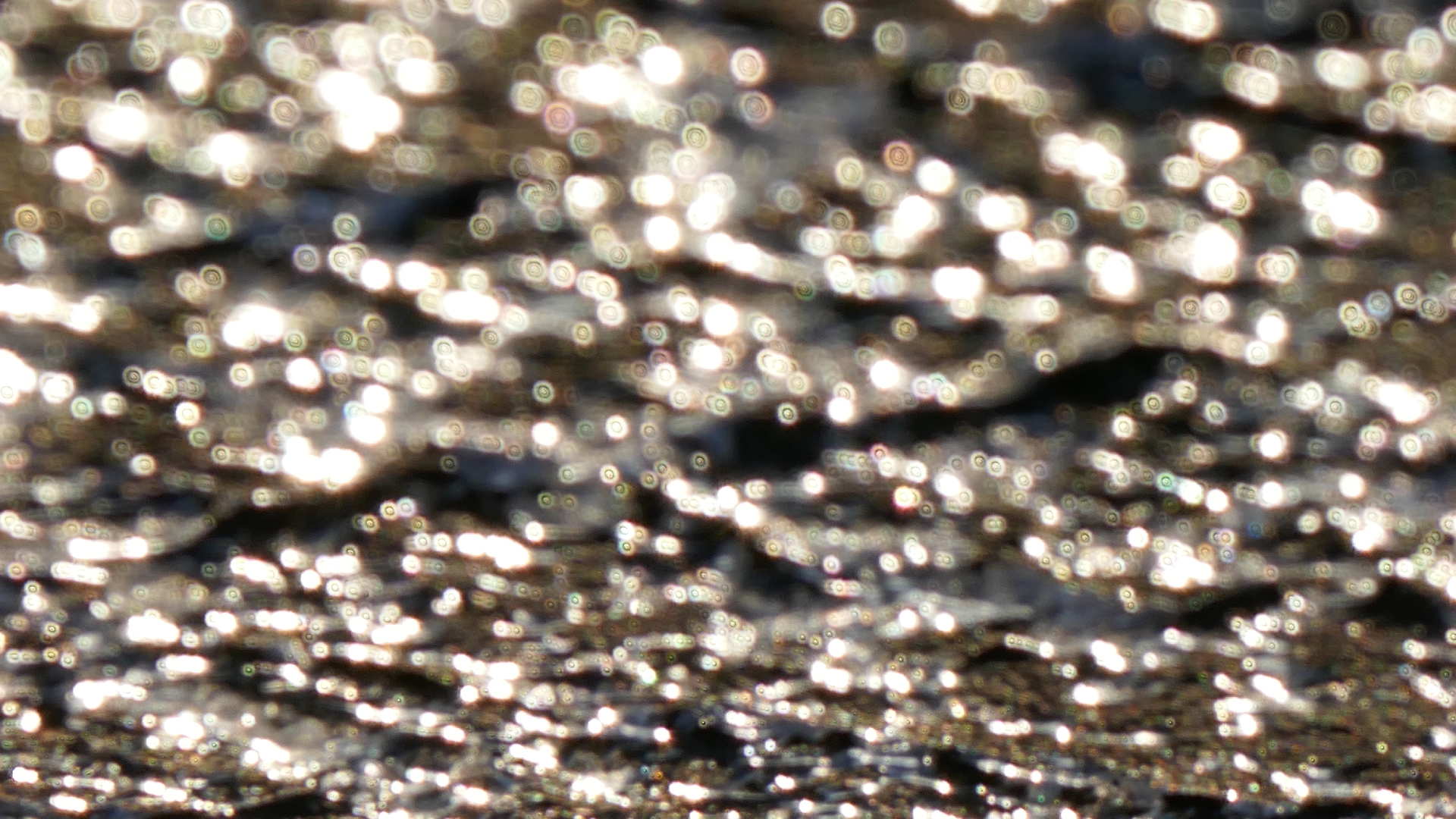 2022-01-21 Reflexe auf der Strasse (Foto)