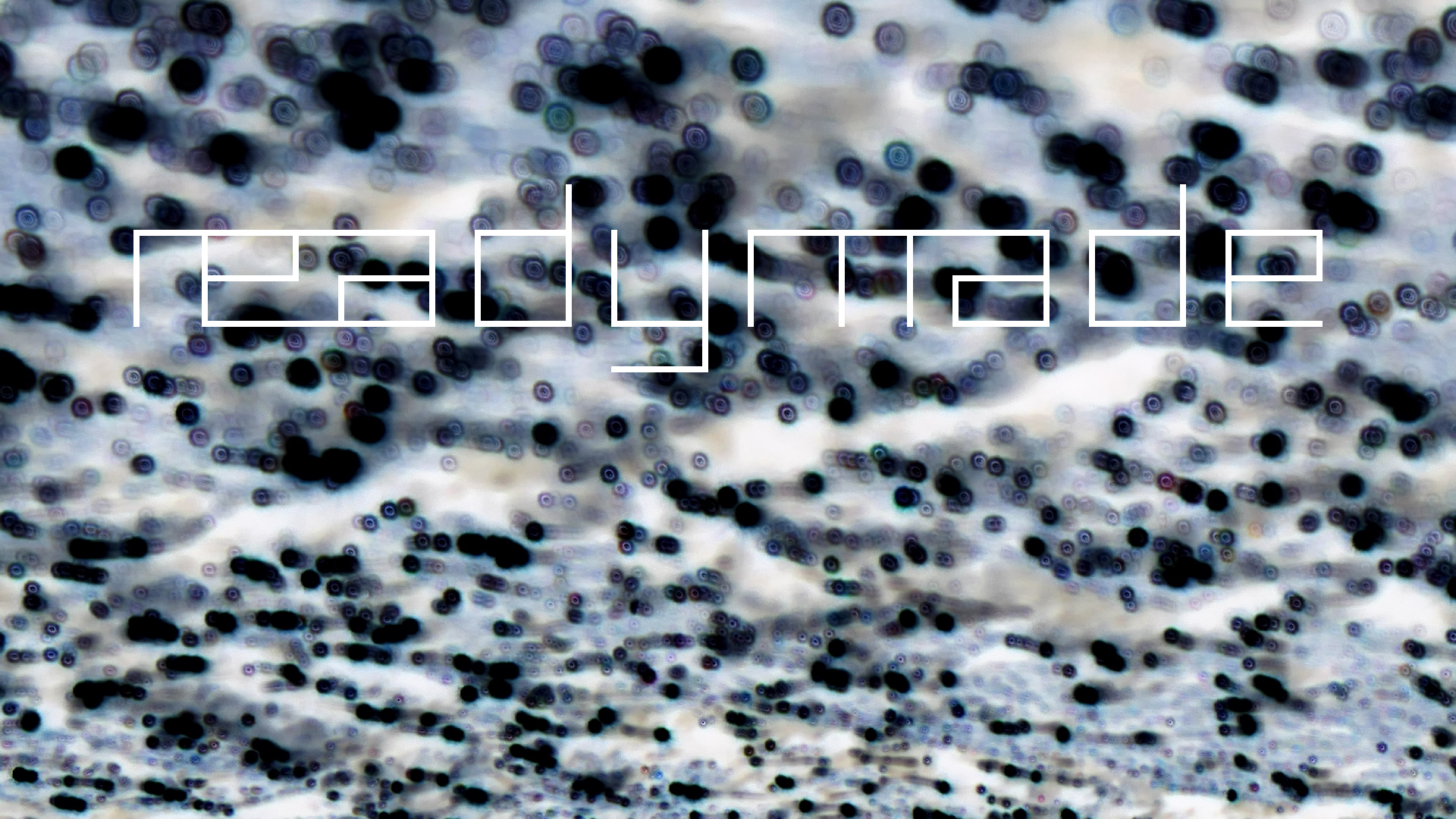 2022-01-21 Reflexe auf der Strasse (Foto)