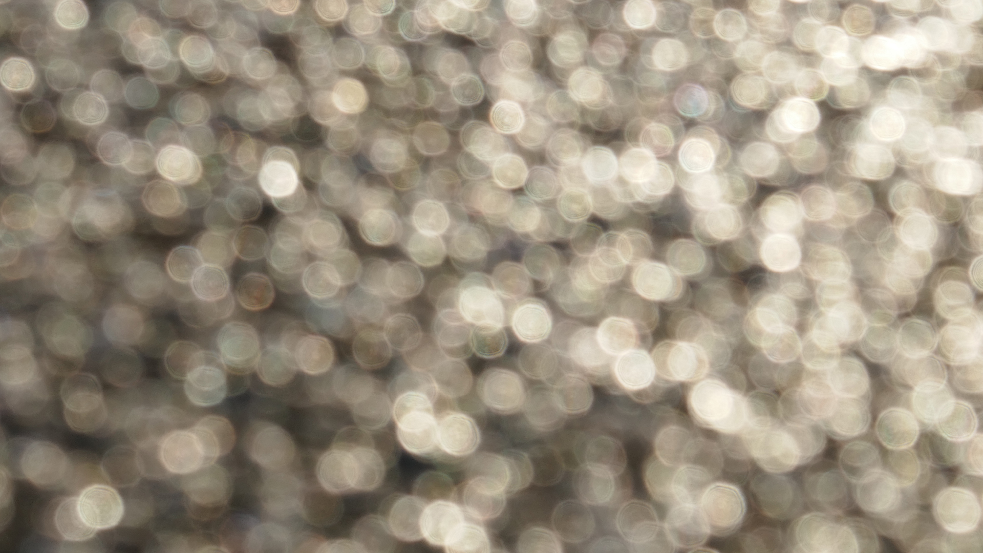 2022-01-21 Reflexe auf der Strasse (Foto)