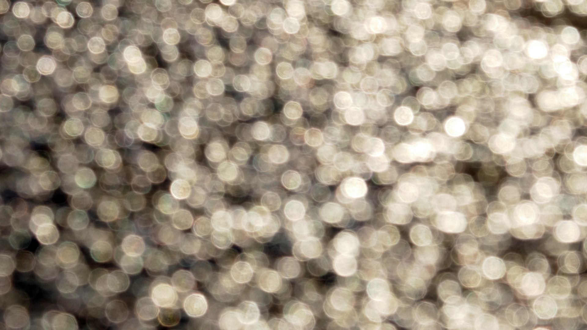 2022-01-21 Reflexe auf der Strasse (Foto)