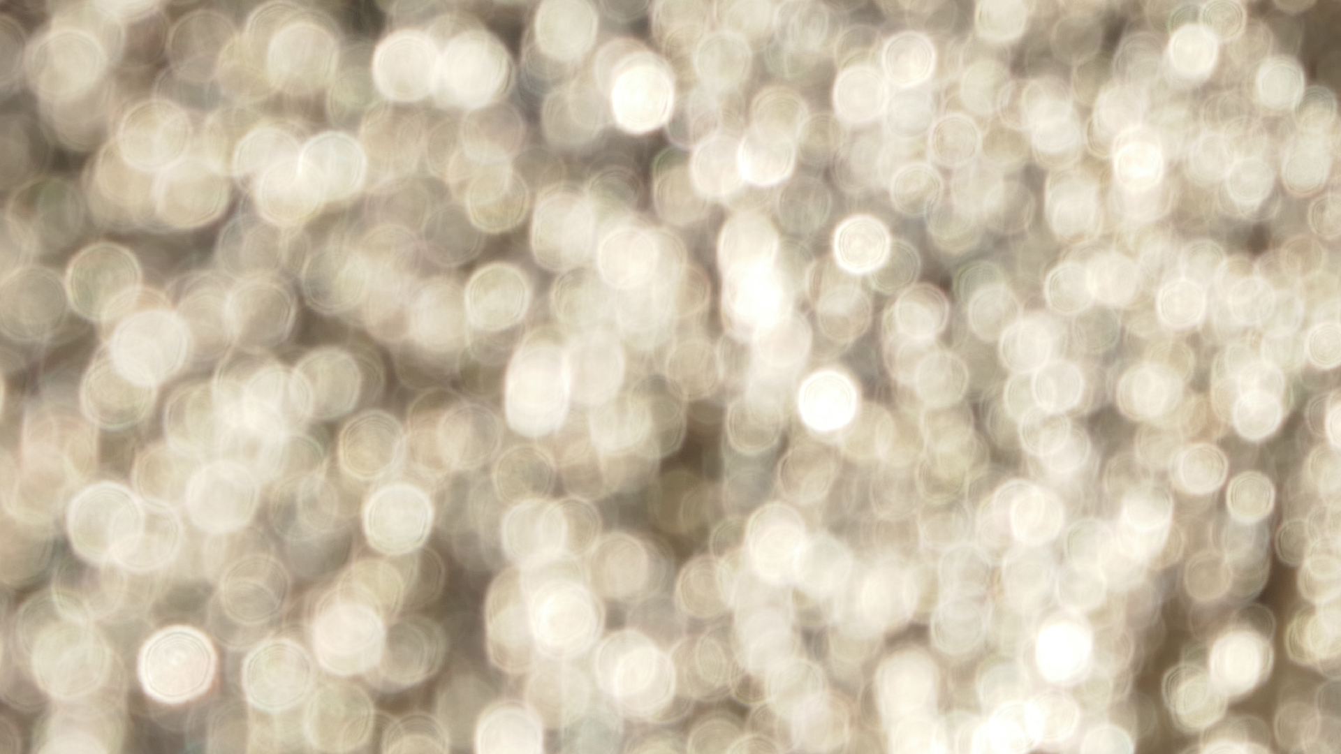 2022-01-21 Reflexe auf der Strasse (Foto)