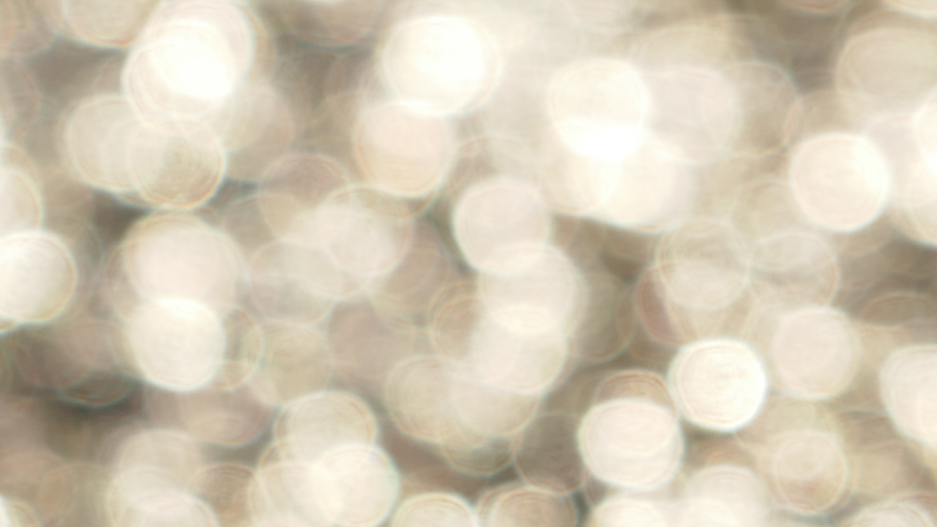 2022-01-21 Reflexe auf der Strasse (Foto)