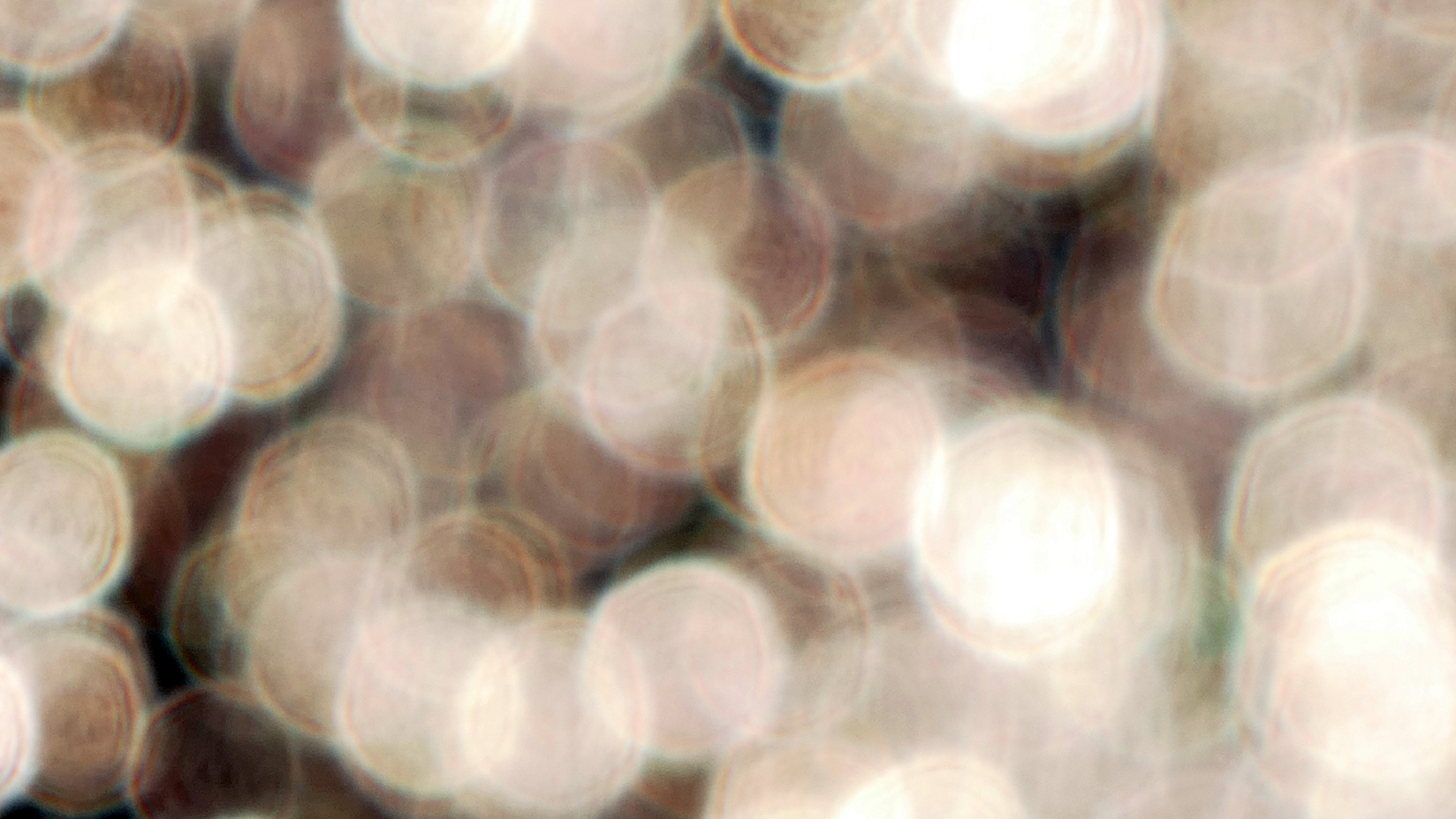 2022-01-21 Reflexe auf der Strasse (Foto)