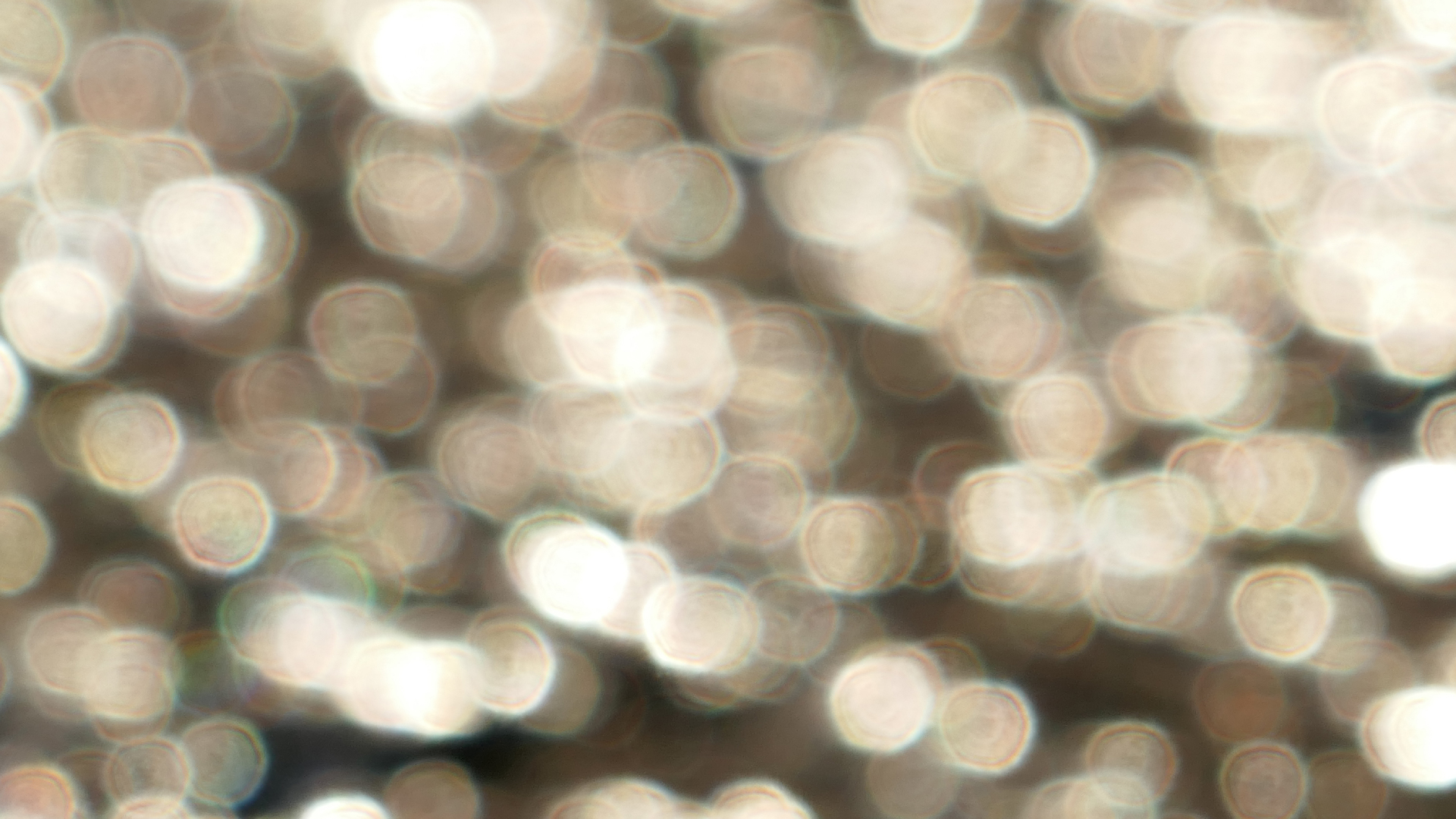 2022-01-21 Reflexe auf der Strasse (Foto)