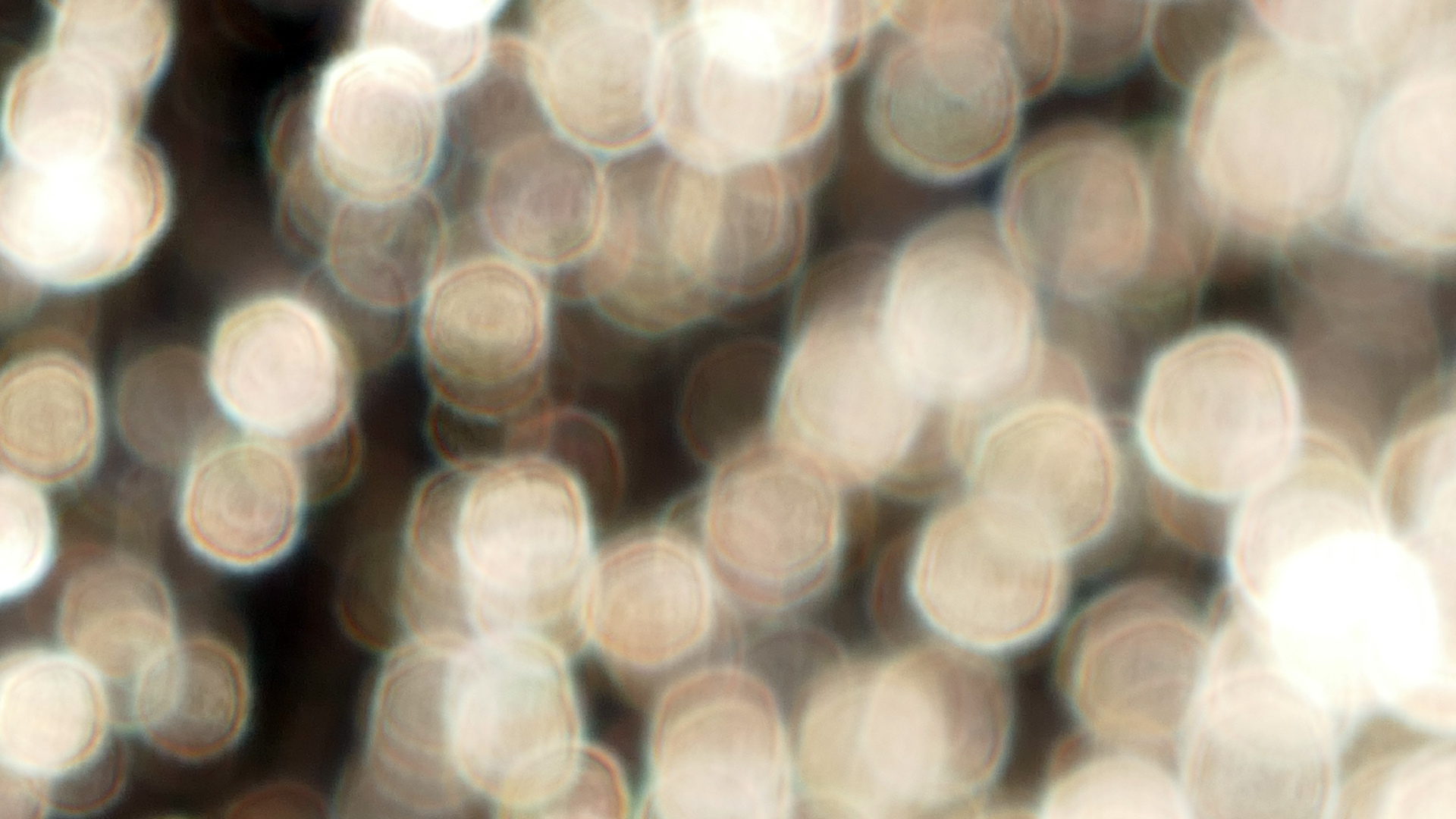 2022-01-21 Reflexe auf der Strasse (Foto)