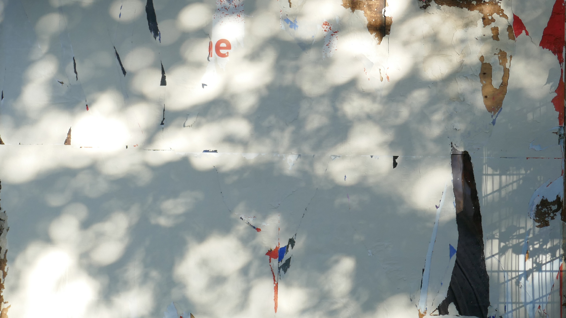 2022-10-12 Wort Bild Virus (Foto)