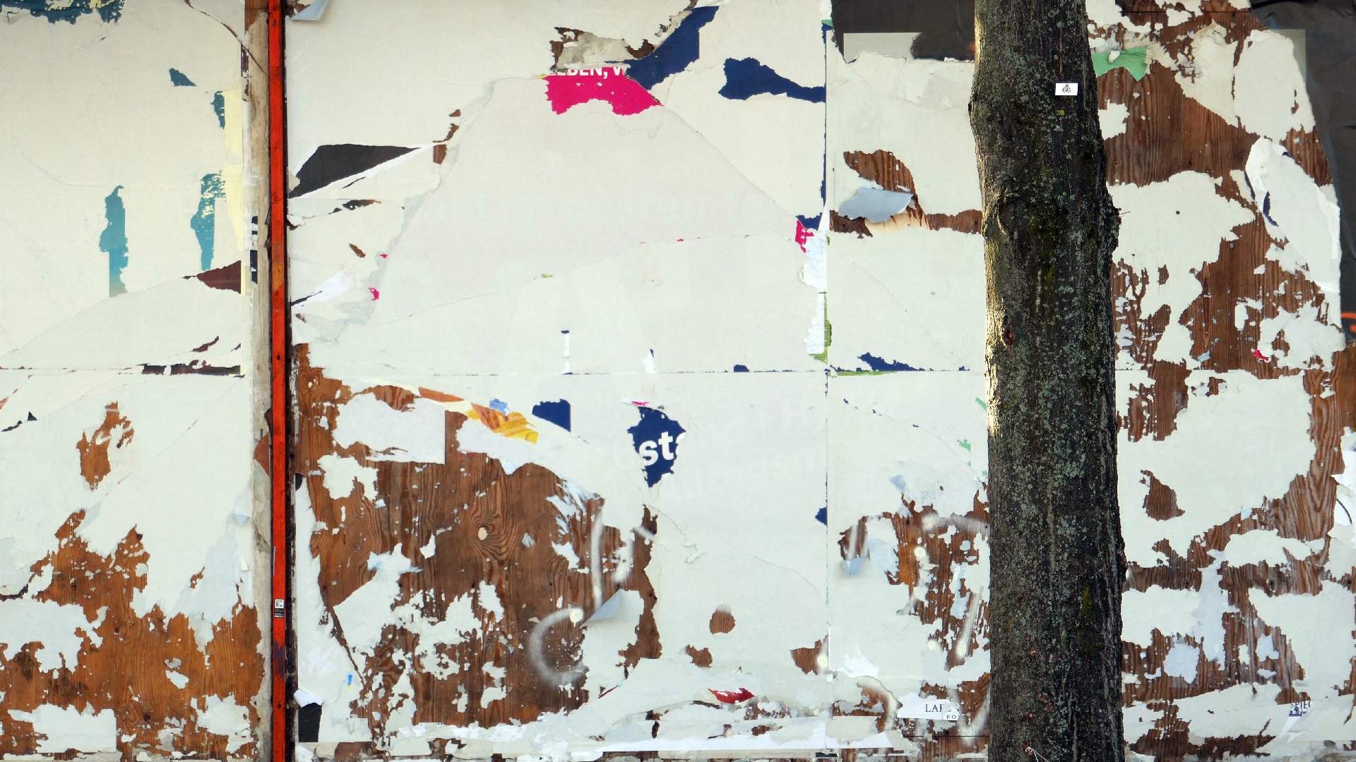 2022-10-12 Wort Bild Virus (Foto)