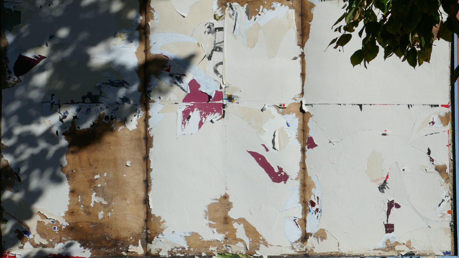 2022-10-12 Wort Bild Virus (Foto)