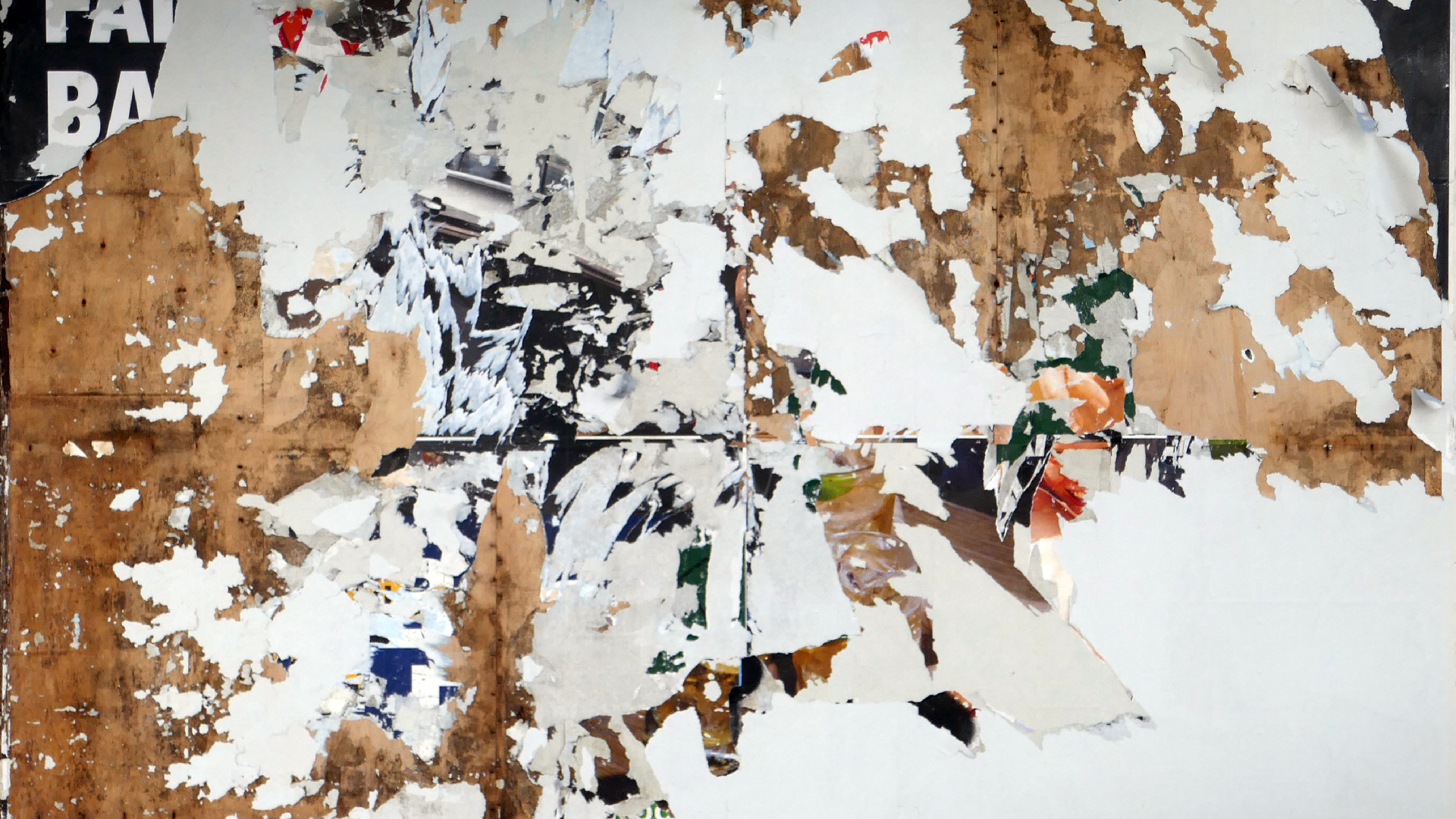 2022-10-12 Wort Bild Virus (Foto)