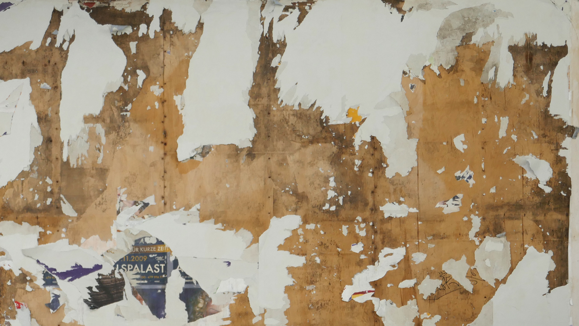 2022-10-12 Wort Bild Virus (Foto)