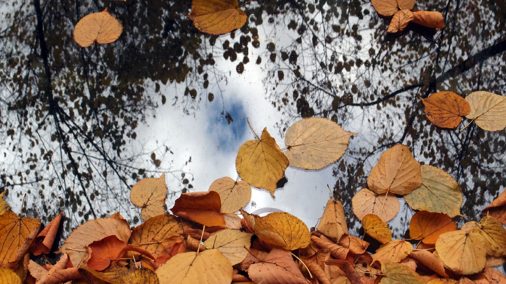 2022-10-12 Wort Bild Virus (Foto)