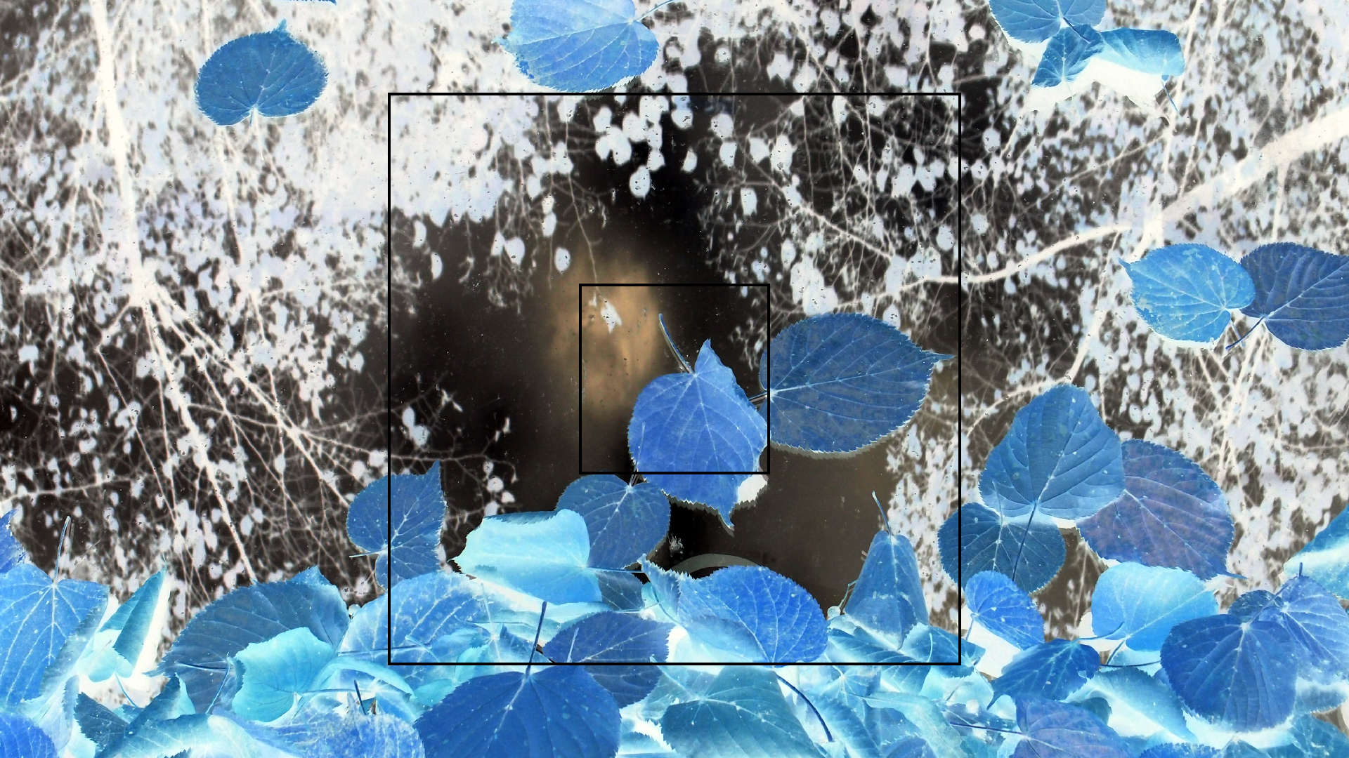 2022-10-12 Wort Bild Virus (Foto)