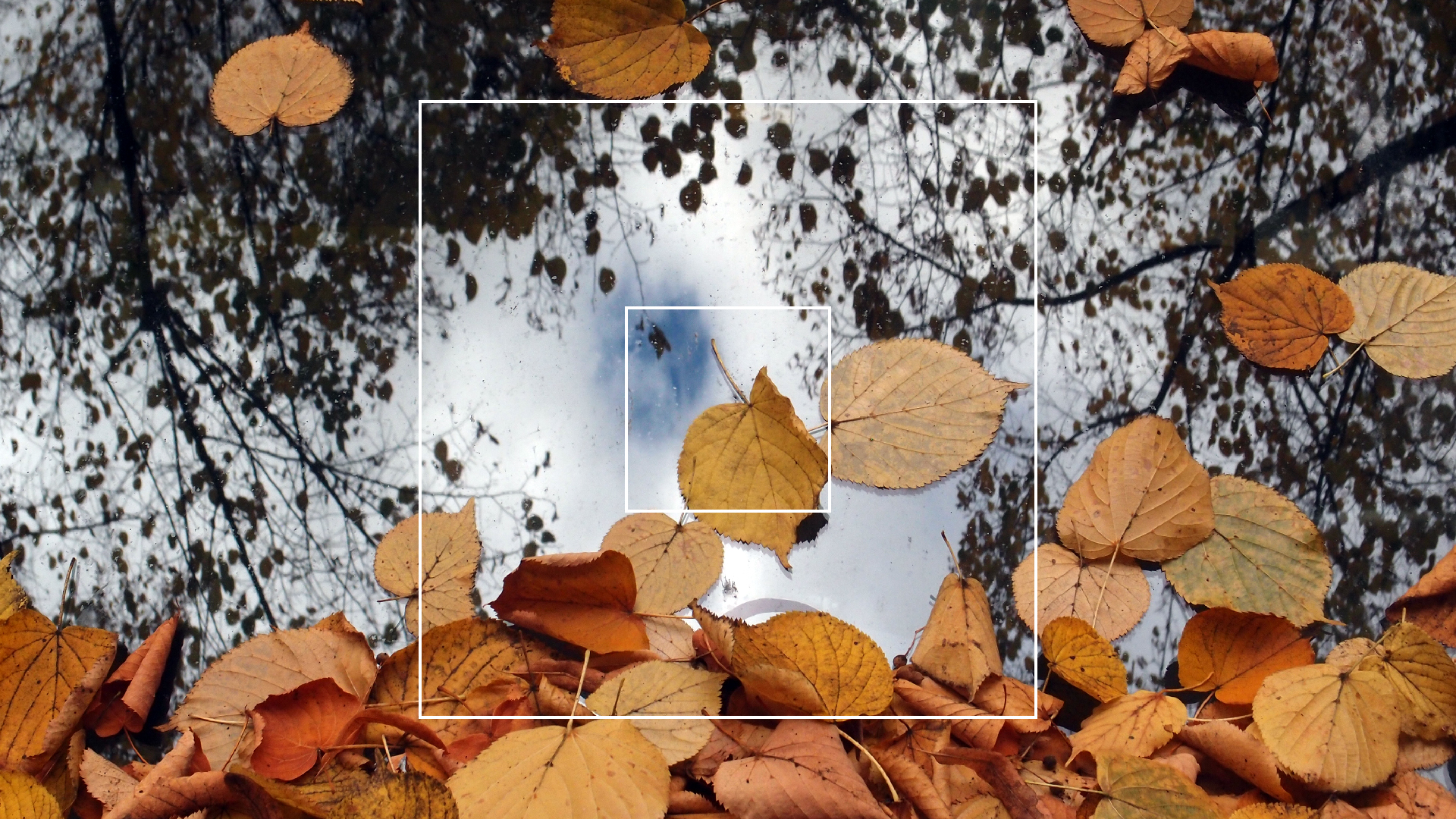 2022-10-12 Wort Bild Virus (Foto)