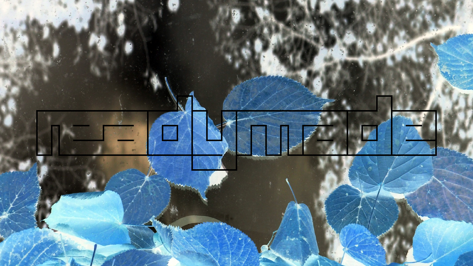 2022-10-12 Wort Bild Virus (Foto)