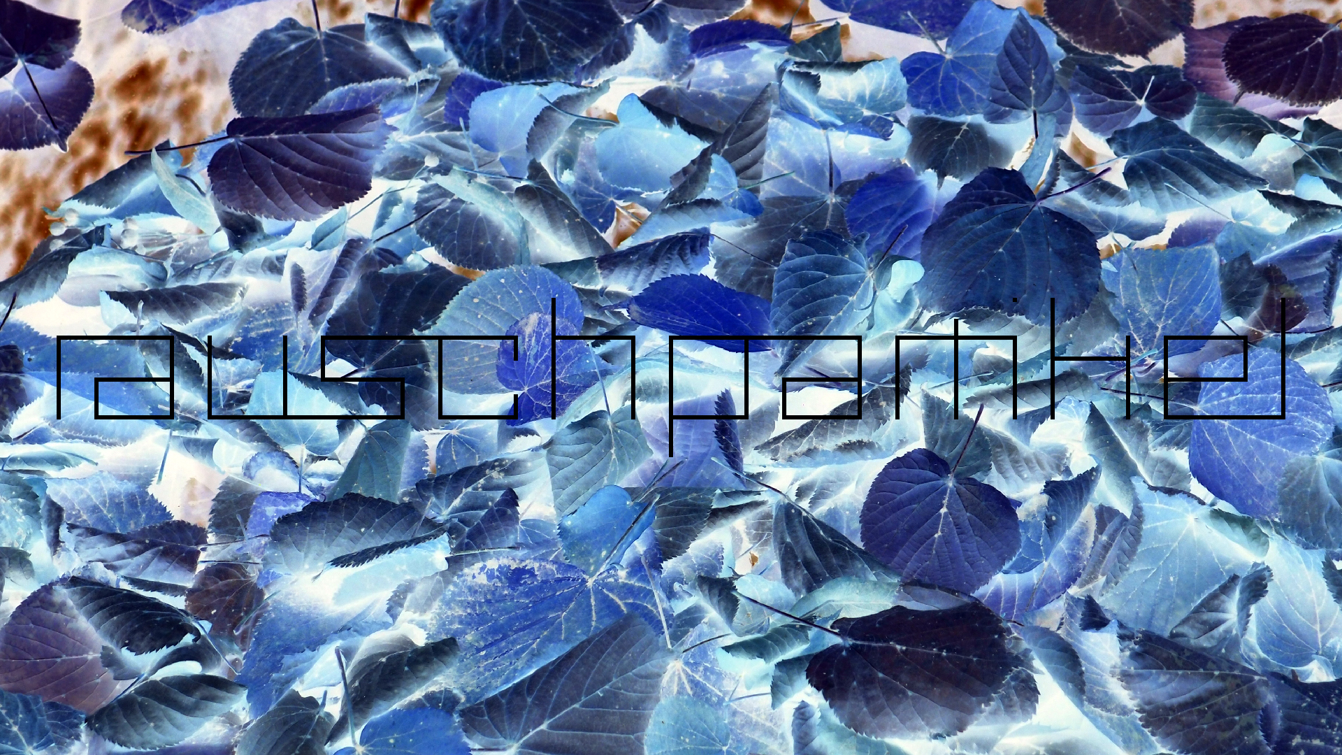 2022-10-12 Wort Bild Virus (Foto)